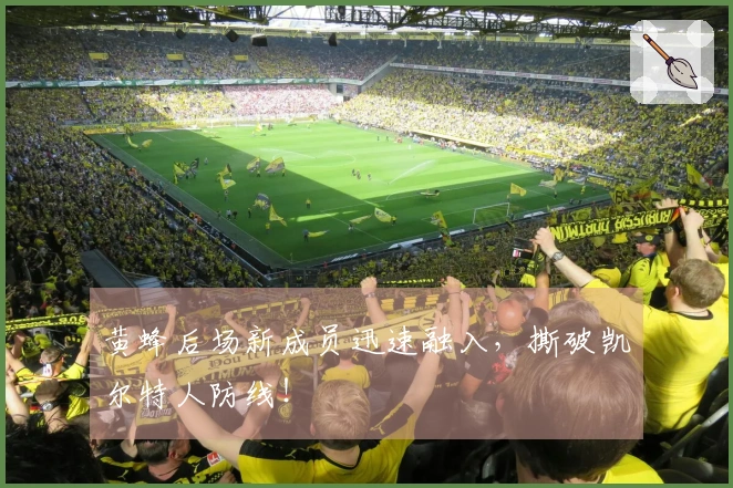黄蜂后场新成员迅速融入，撕破凯尔特人防线！