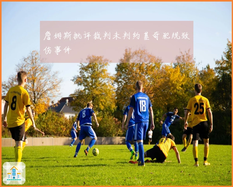 詹姆斯批评裁判未判约基奇犯规致伤事件