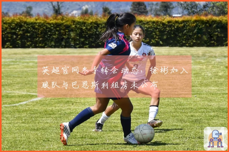 英超官网冬季转会动态，徐彬加入狼队与巴恩斯利租房未公布