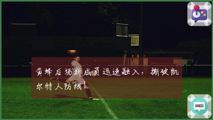 黄蜂后场新成员迅速融入，撕破凯尔特人防线！